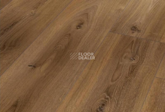 Ламинат Parador Basic Plus 600 XS 1593830 Дуб Монтана Выбеленный фото 1 | FLOORDEALER